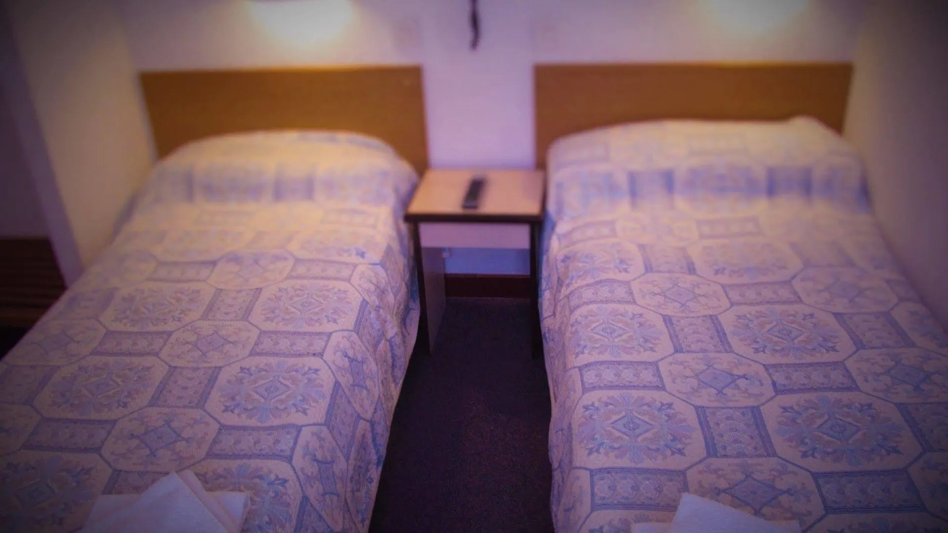 Hotel Duchesse Anne Lourdes